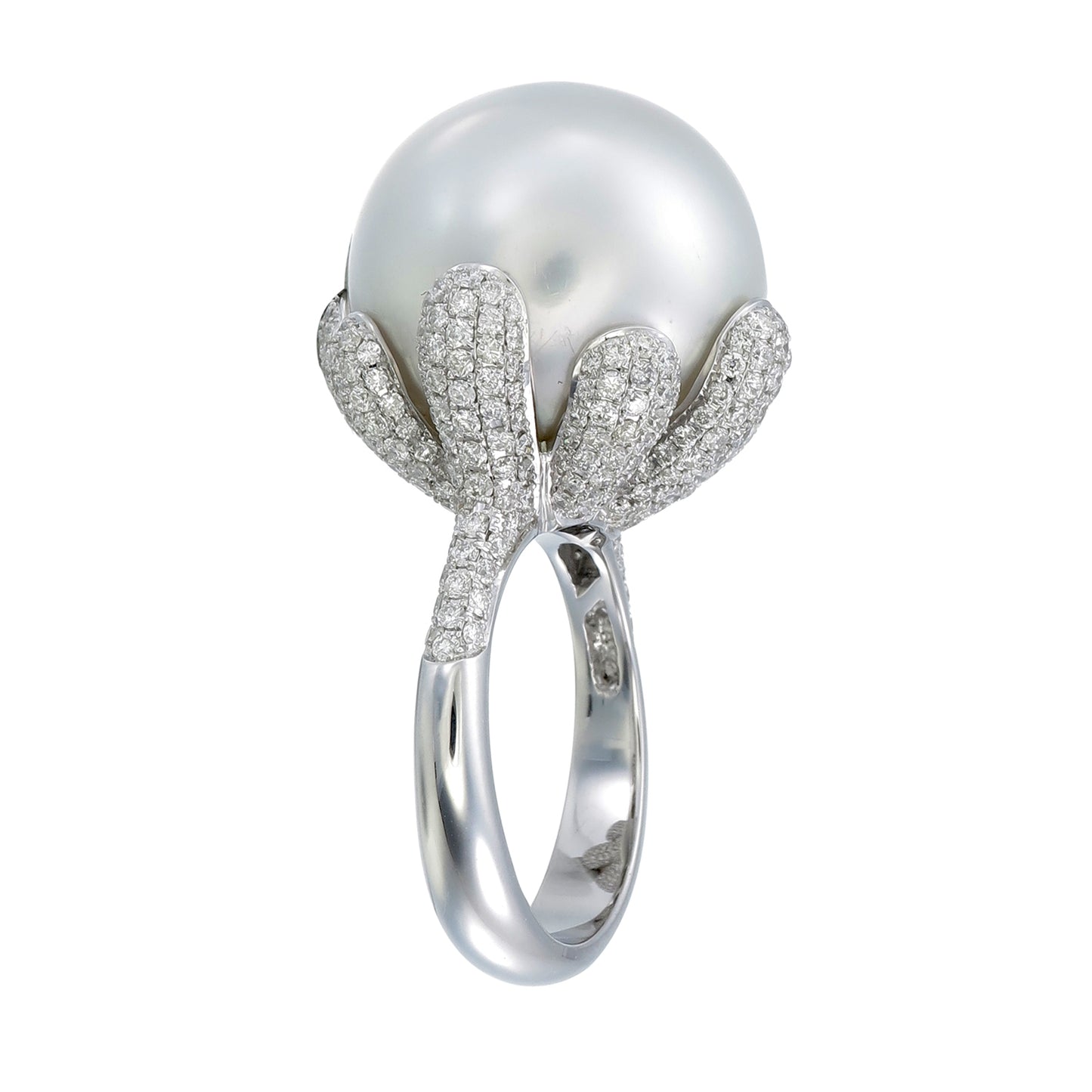 18K White Gold South Sea Pearl and Diamond Pave Statement Ring